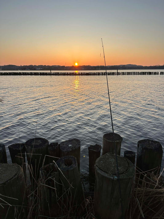 🎣 SILDESÆSON ER STARTET
